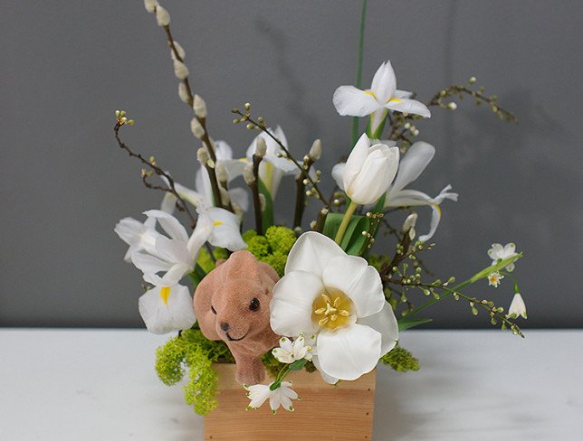 Easter box with white irises photo