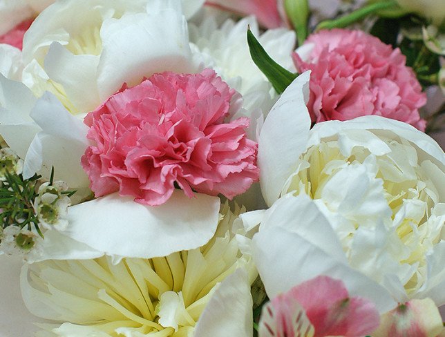 Bouquet of white peonies "Breath of Spring" photo