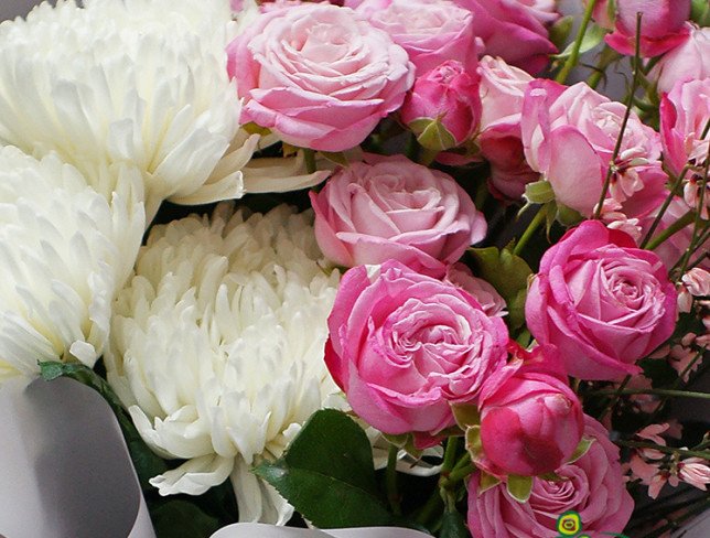 Букет из кустовых роз и белых шаровидных хризантем Фото
