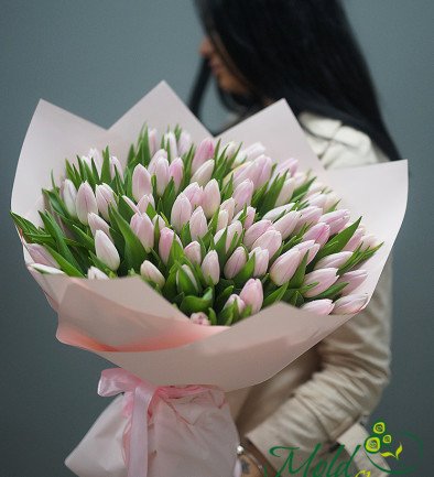 Букет из 75 тюльпанов  бледно-розовых голландский (ПОД ЗАКАЗ, 10 дней) Фото 394x433