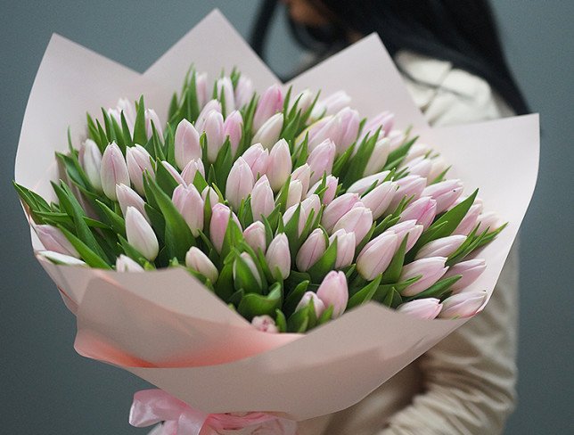 Букет из 75 тюльпанов  бледно-розовых голландский Фото