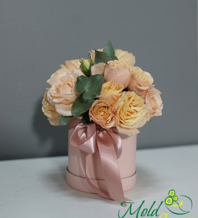 Розовая коробка с кустовыми кремовыми розами Фото 394x433