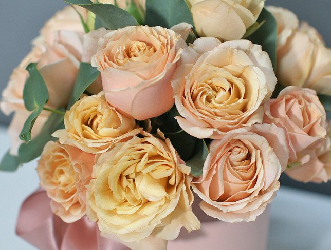 Розовая коробка с кустовыми кремовыми розами Фото