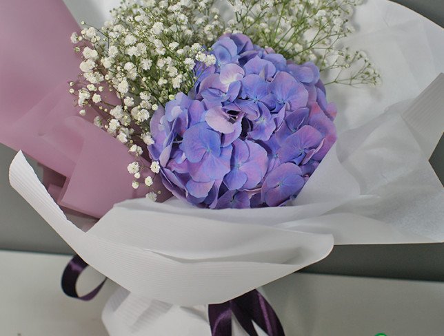 Bouquet with purple hydrangea and white gypsophila №2 photo
