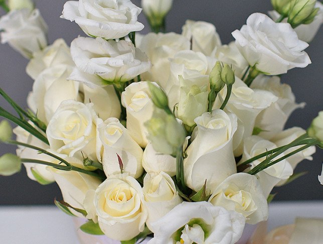 White box with white roses and eustoma photo