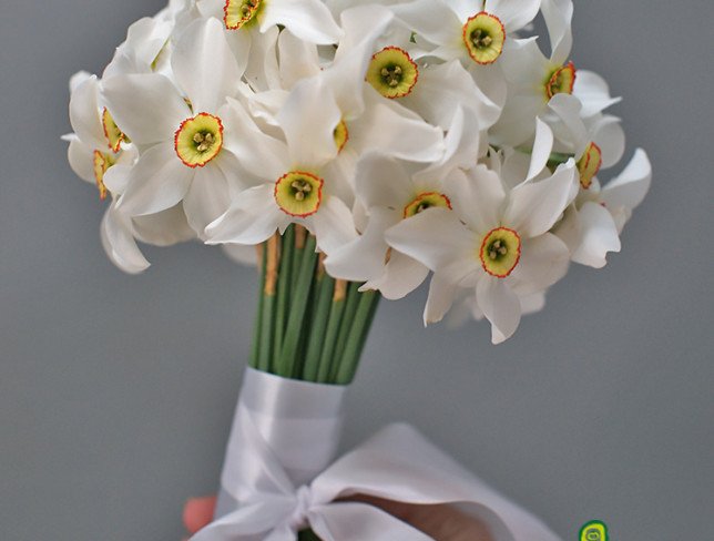 Narcis alb moldovenesc foto