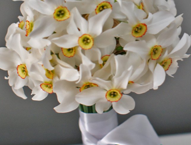 Narcis alb moldovenesc foto