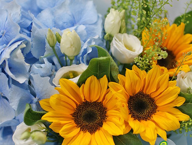 Bouquet of blue hydrangea and sunflower photo