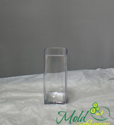Vază de sticlă pătrată înălțimea=20 cm, diametru=8 cm foto 394x433
