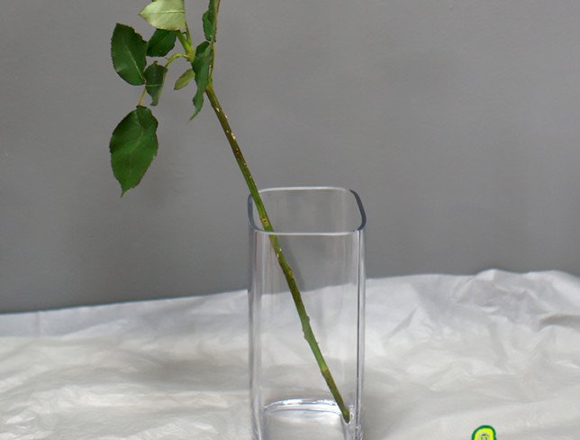 Glass square vase height=20 cm, diameter=8 cm photo