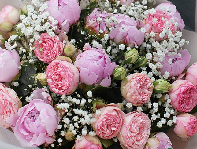 Bouquet of peonies and gypsophila "Pink tenderness" photo