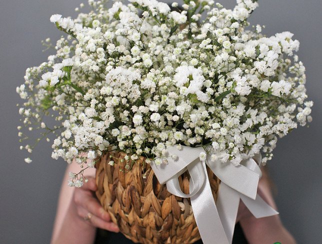 Basket with white gypsophila “Tender Cloud” photo
