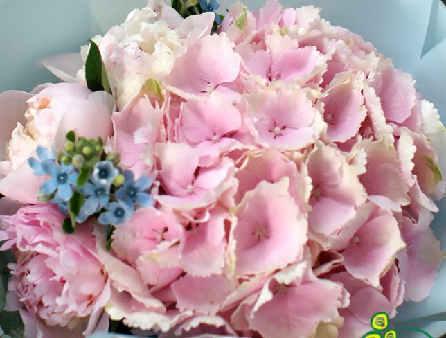 Hydrangea bouquet "Spring Breeze" photo