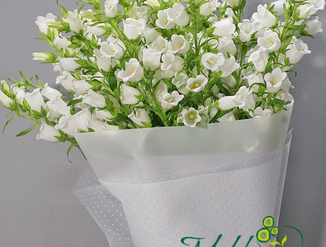 Bouquet of white bells photo