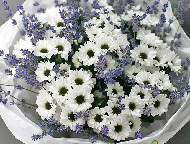 Bouquet of white chrysanthemums and lavender photo