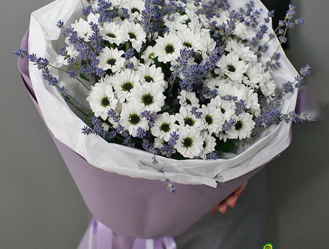 Bouquet of white chrysanthemums and lavender photo