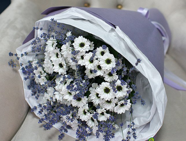 Bouquet of white chrysanthemums and lavender photo