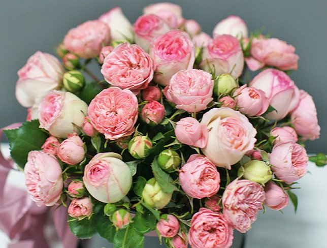 Box of peony pink roses photo