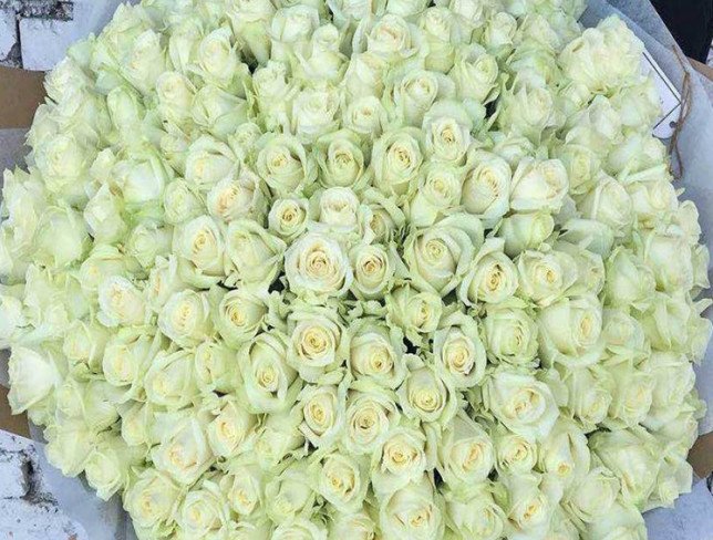 Bouquet of 199 white roses photo