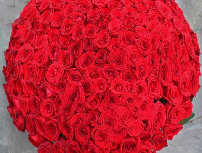 Bouquet of 199 red roses photo