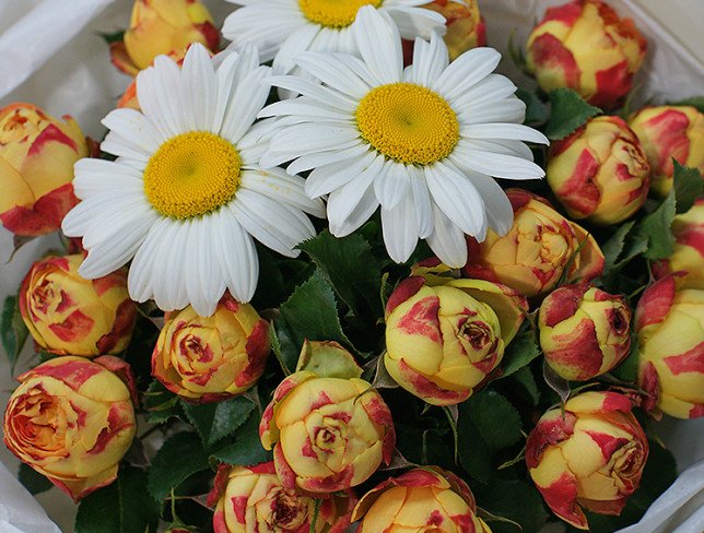 Buchet din trandafiri de tip bujor si romanite foto