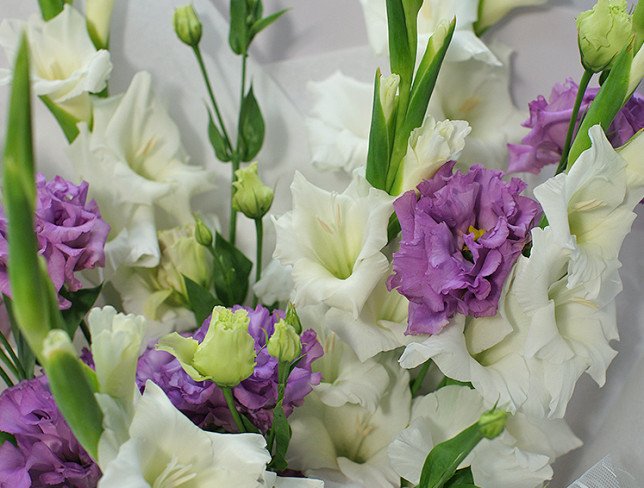 Bouquet of white gladioli and eustoma photo