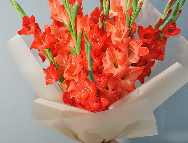 Bouquet of red gladioli photo