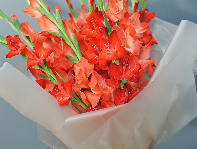 Bouquet of red gladioli photo