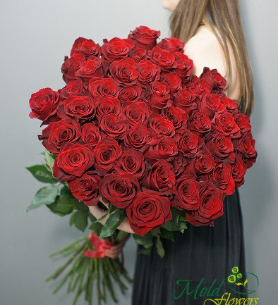 51 Красная роза голландская премиум 80-90 см (ПОД ЗАКАЗ 10 дней) Фото 394x433