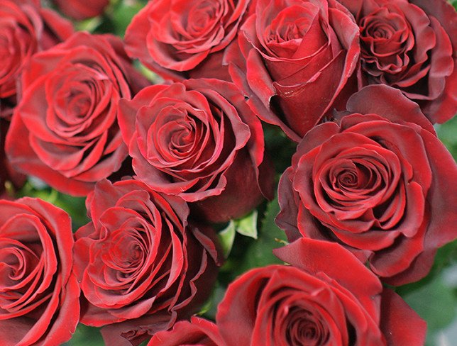 25 Premium Dutch Red Roses 80-90 cm (pre-order, 10 days) photo