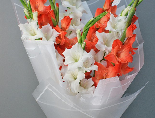 Bouquet of red and white gladioli photo