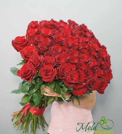 75 красных роз премиум голландская 80-90 см (под заказ, 10 дней) Фото 394x433