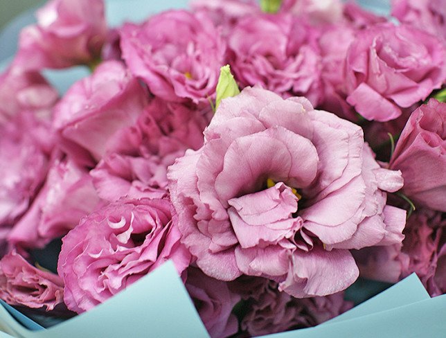 Bouquet of pink eustoma "Cupid's Arrow" photo