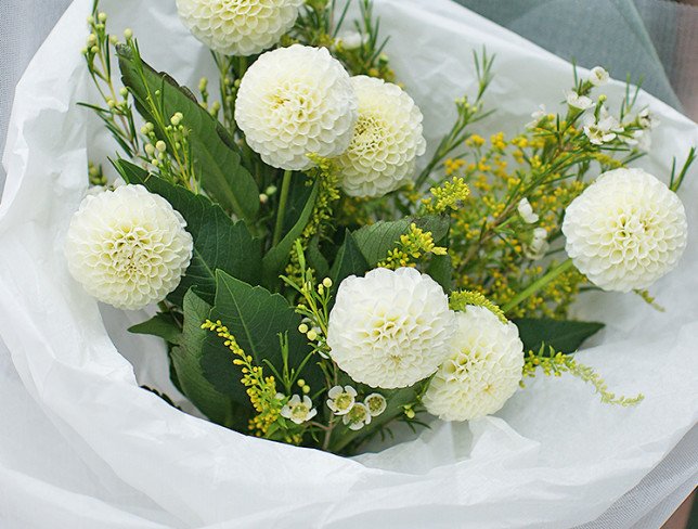 Bouquet of white dahlias "Tender embrace" photo