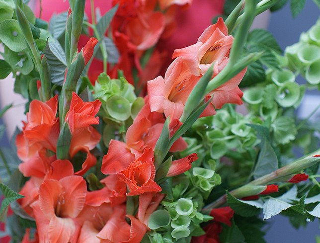 Buchet din gladiole roșii "Apus tropical" foto