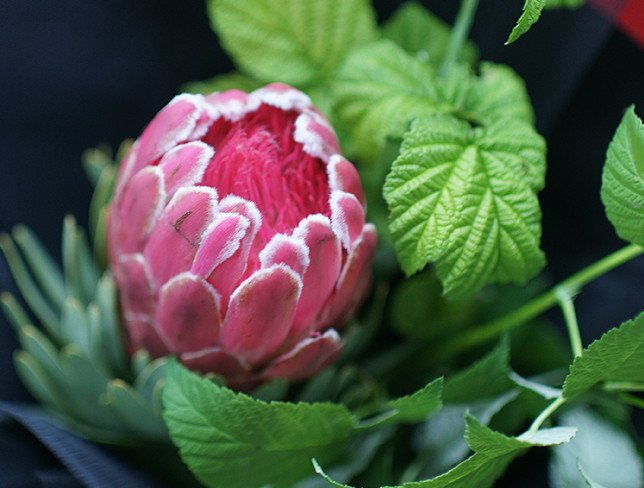 Bouquet with protea "Exotic beauty" photo