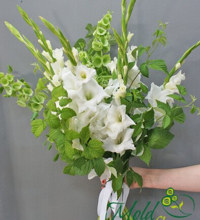 Buchet din gladiole albe și zmeura foto 394x433