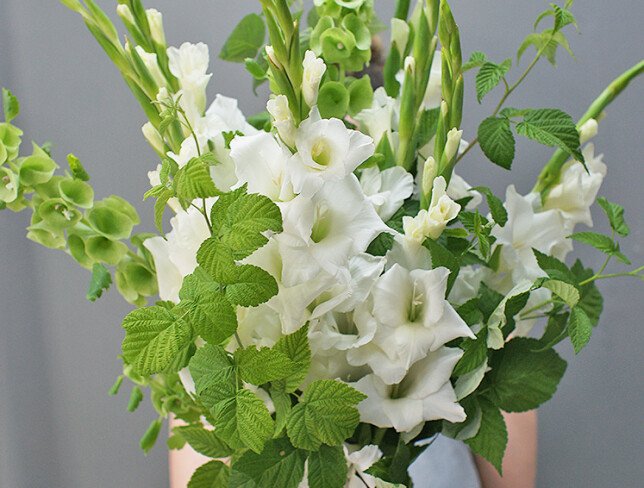 Bouquet of white gladioli and raspberry photo