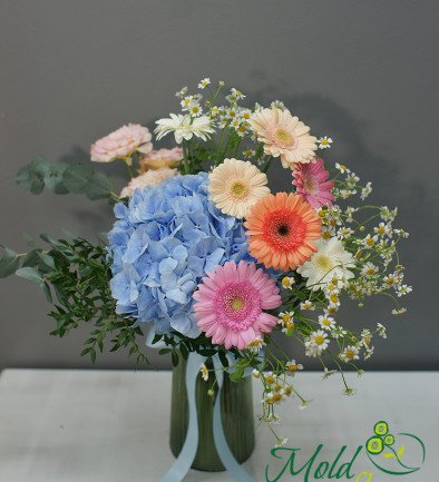 Vaza + Buchet cu hortensie albastra si gerbere foto 394x433