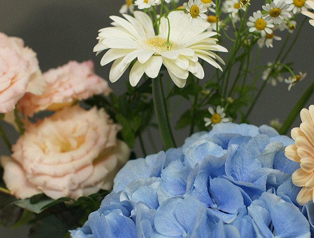 Vase + Bouquet with blue hydrangea and gerberas photo