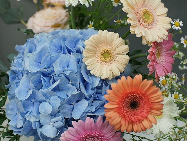 Vase + Bouquet with blue hydrangea and gerberas photo