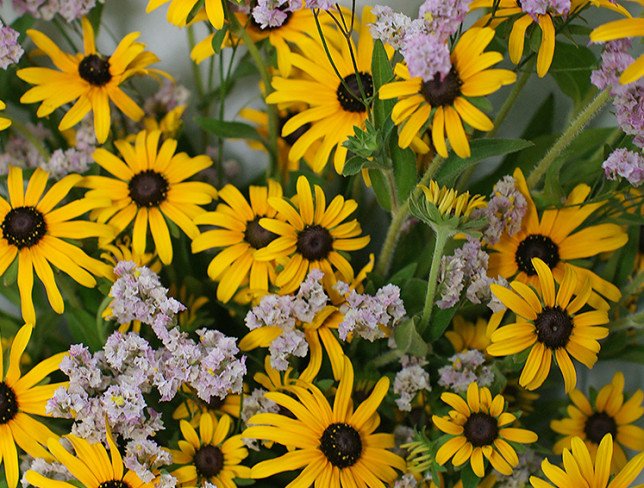 Bouquet "Sunny Joy" photo