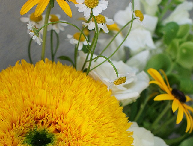 Bouquet of white roses, sunflowers and chamomile photo