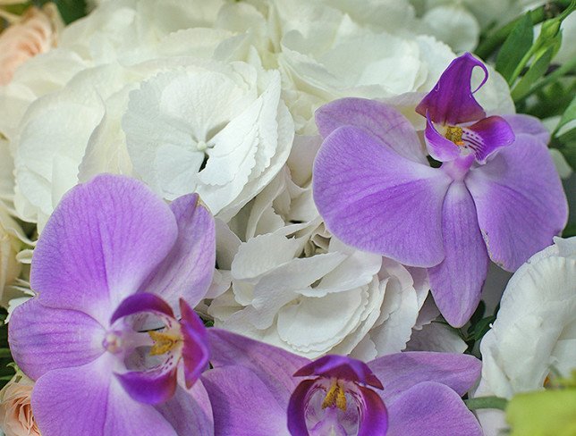 Vase + Bouquet with white hydrangea and eustoma photo