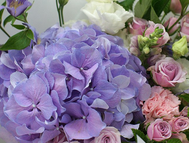 Bouquet of purple hydrangea and clematis photo