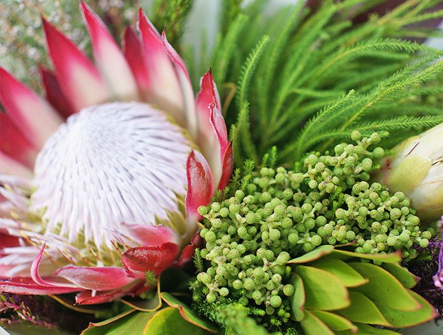 Bouquet with protea "Garden of Eden" photo