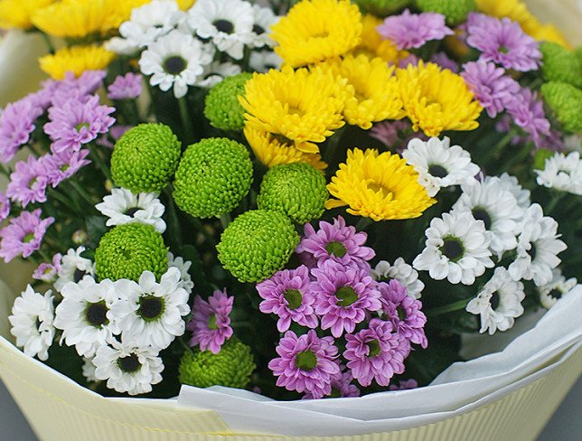 Bouquet of multi-colored chrysanthemums "Joy in Flowers" photo