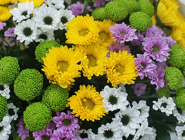 Buchet din crizanteme multicolore „Bucurie în flori” foto