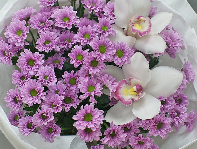 Bouquet of pink chrysanthemums and orchids photo