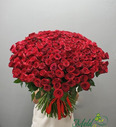 201 Red Roses, 60-70 cm (pre-order, 3 days) photo 394x433